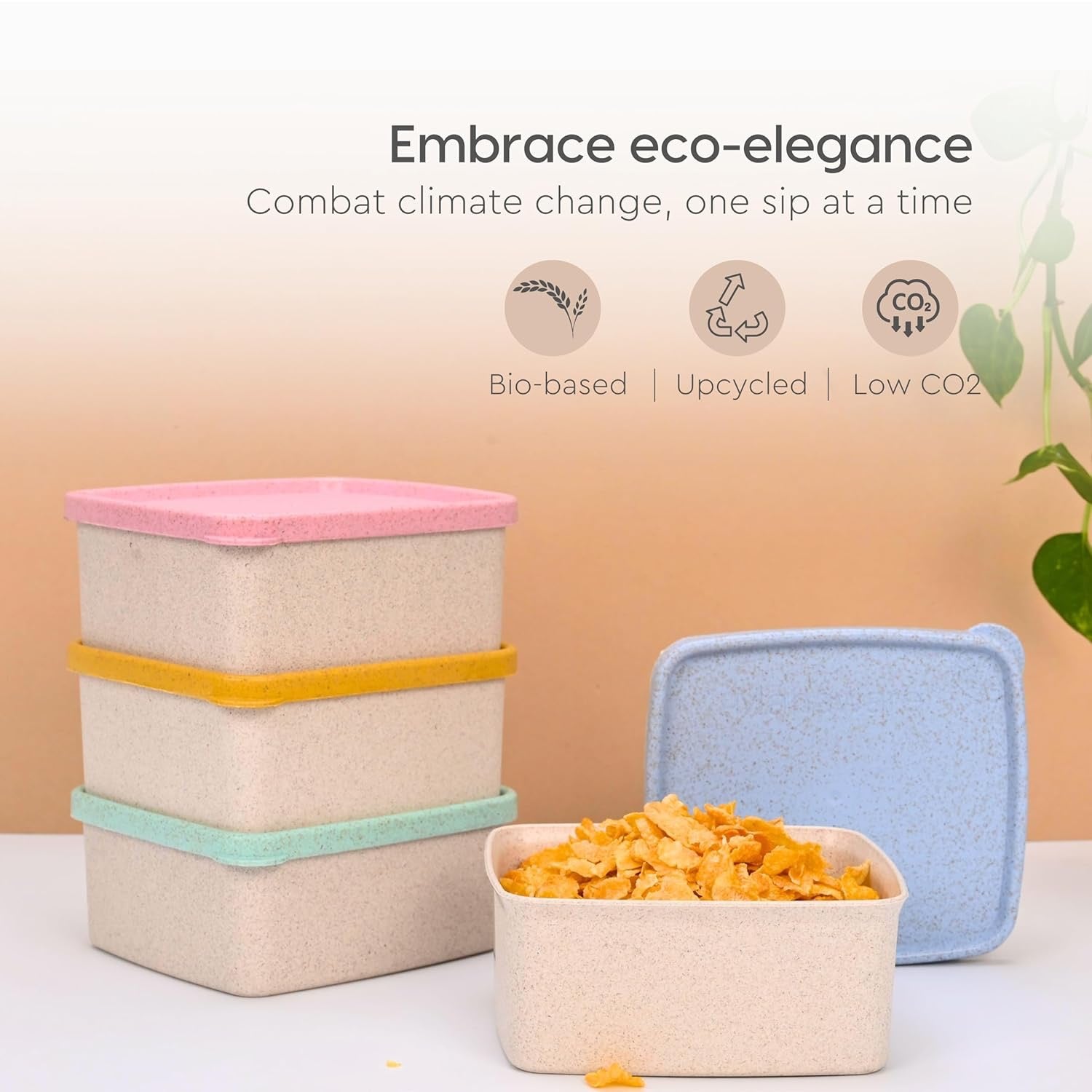 Eco Sandwich Container