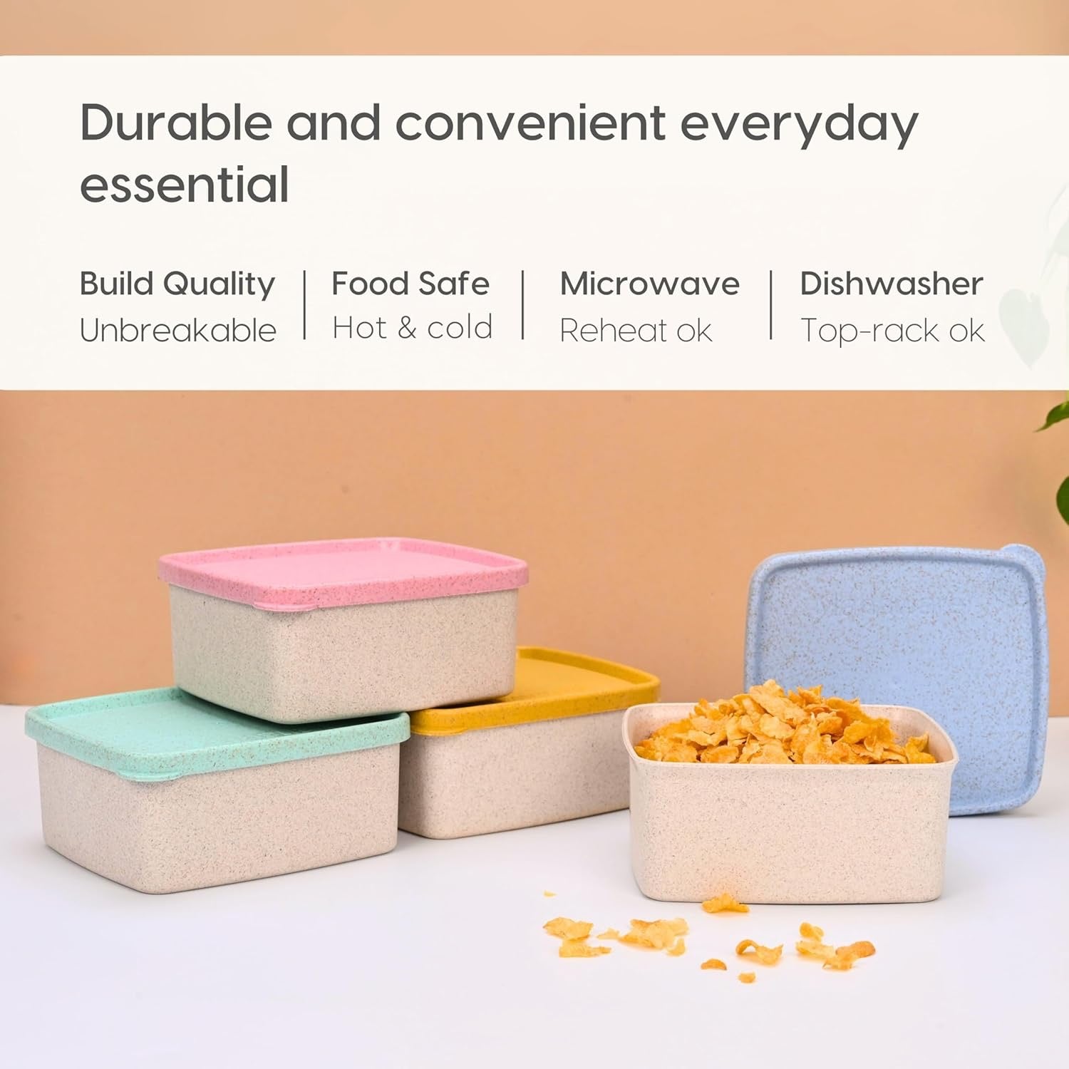 Eco Sandwich Container