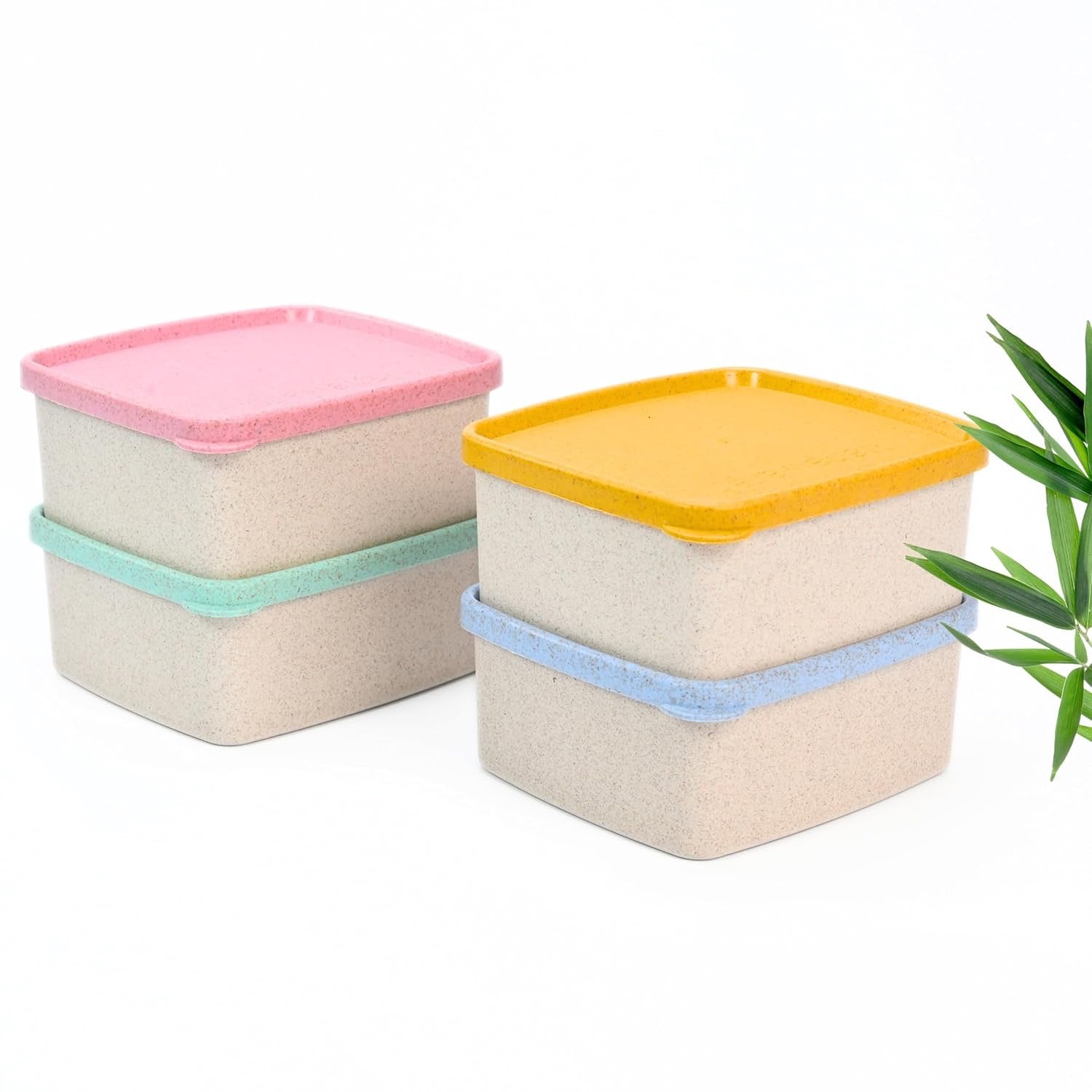 Eco Sandwich Container